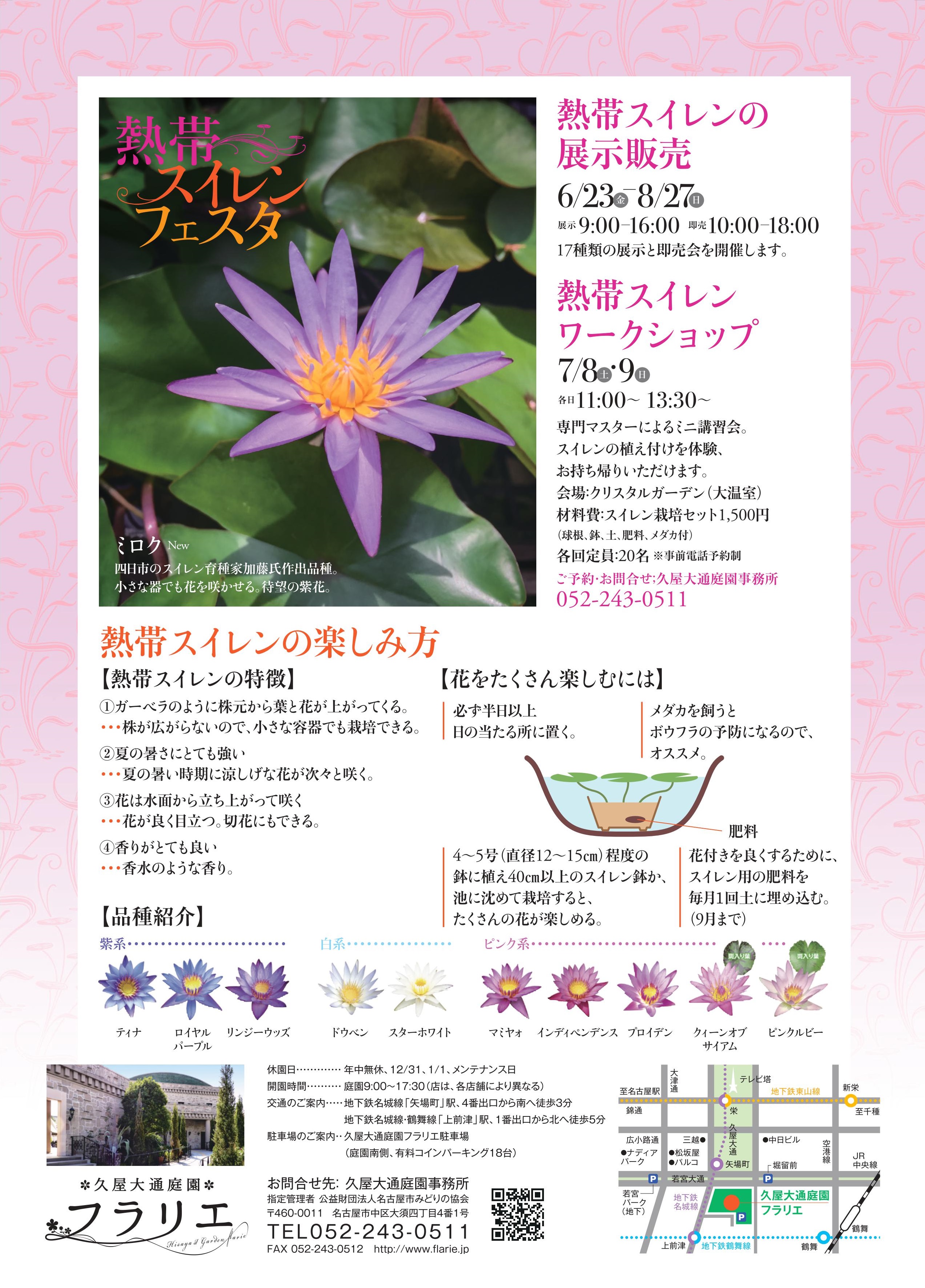 熱帯スイレンフェスタ2017ウラ