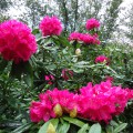 DSC05940