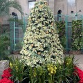 image0