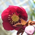 P1410436
