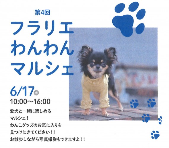 わんわん