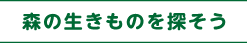 森の生きものを探そう
