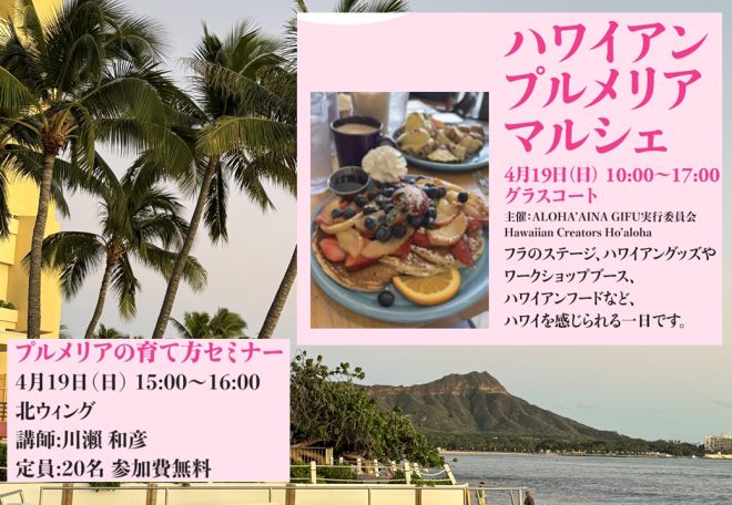 ハワイアンプルメリアM