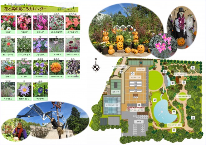 Best_time_flowers10_29