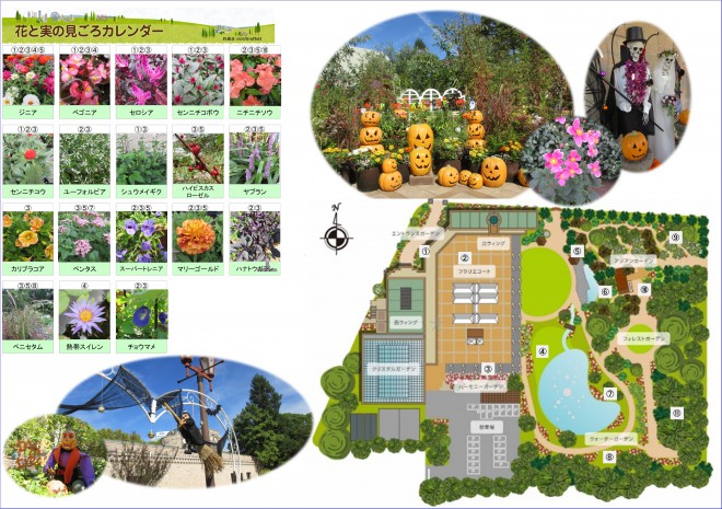 Best_time_flowers10_8