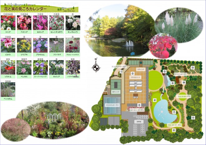 Best_time_flowers11_08