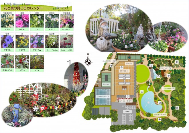 Best_time_flowers12_06