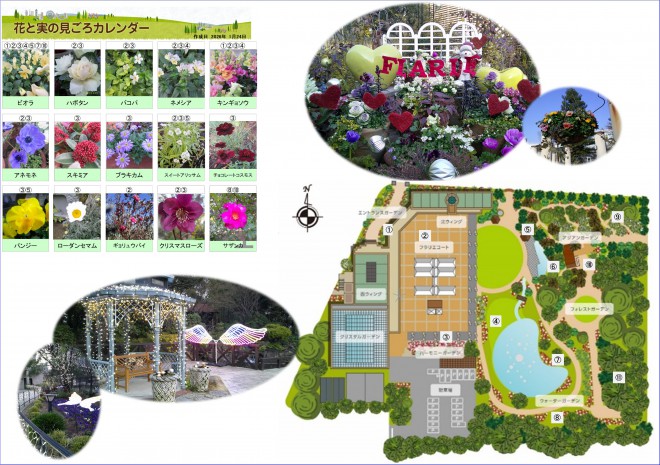 Best_time_flowers1_24