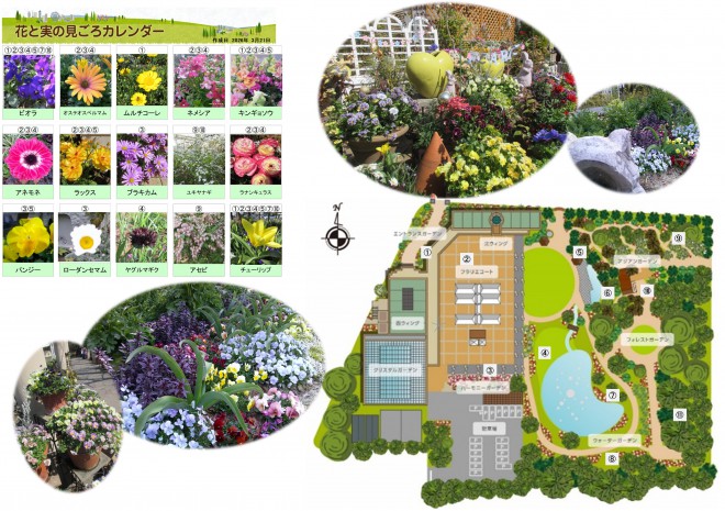 Best_time_flowers3_22