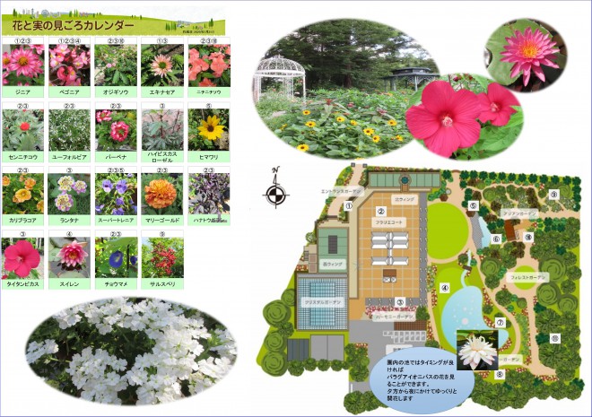 Best_time_flowers7_30