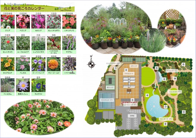 Best_time_flowers9_20