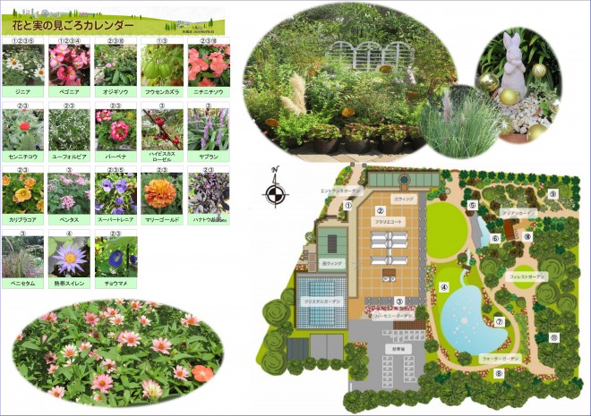 Best_time_flowers9_8