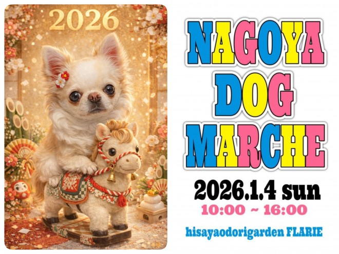 nagoya dog_20260104_flarie