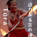 トラさん