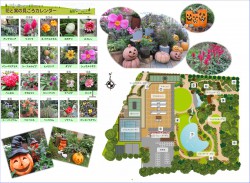 Best_time_flowers10_04